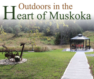Outdoors in the Muskokas